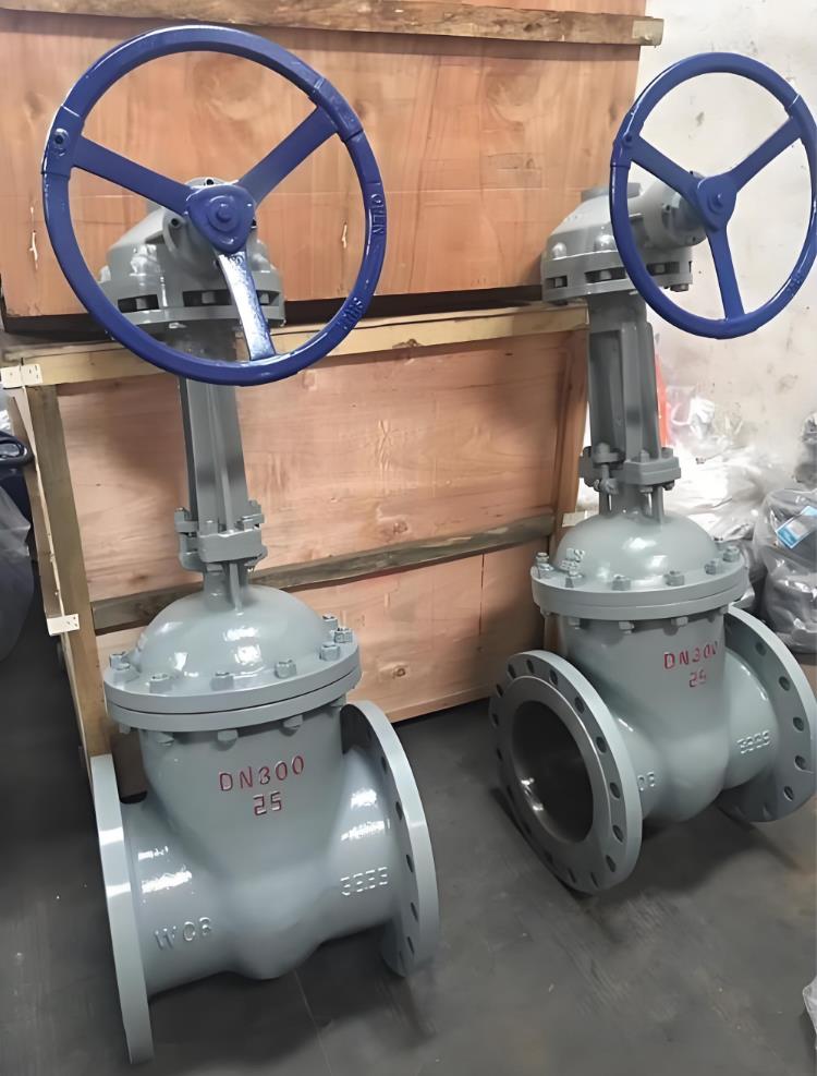 Z541H���X݆�l�y