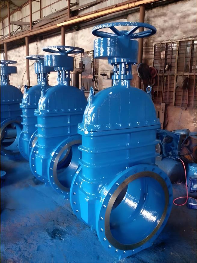 Z441H/Z441Y���X݆�l�y